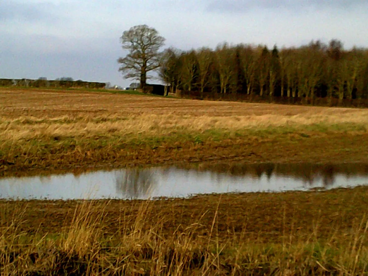 A look back from near to "No Man's Land"
