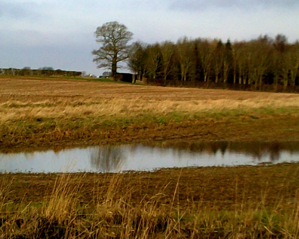 A look back from near to "No Man's Land"