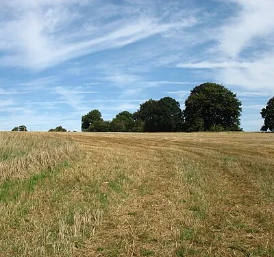 Arable land in Sapperton Park