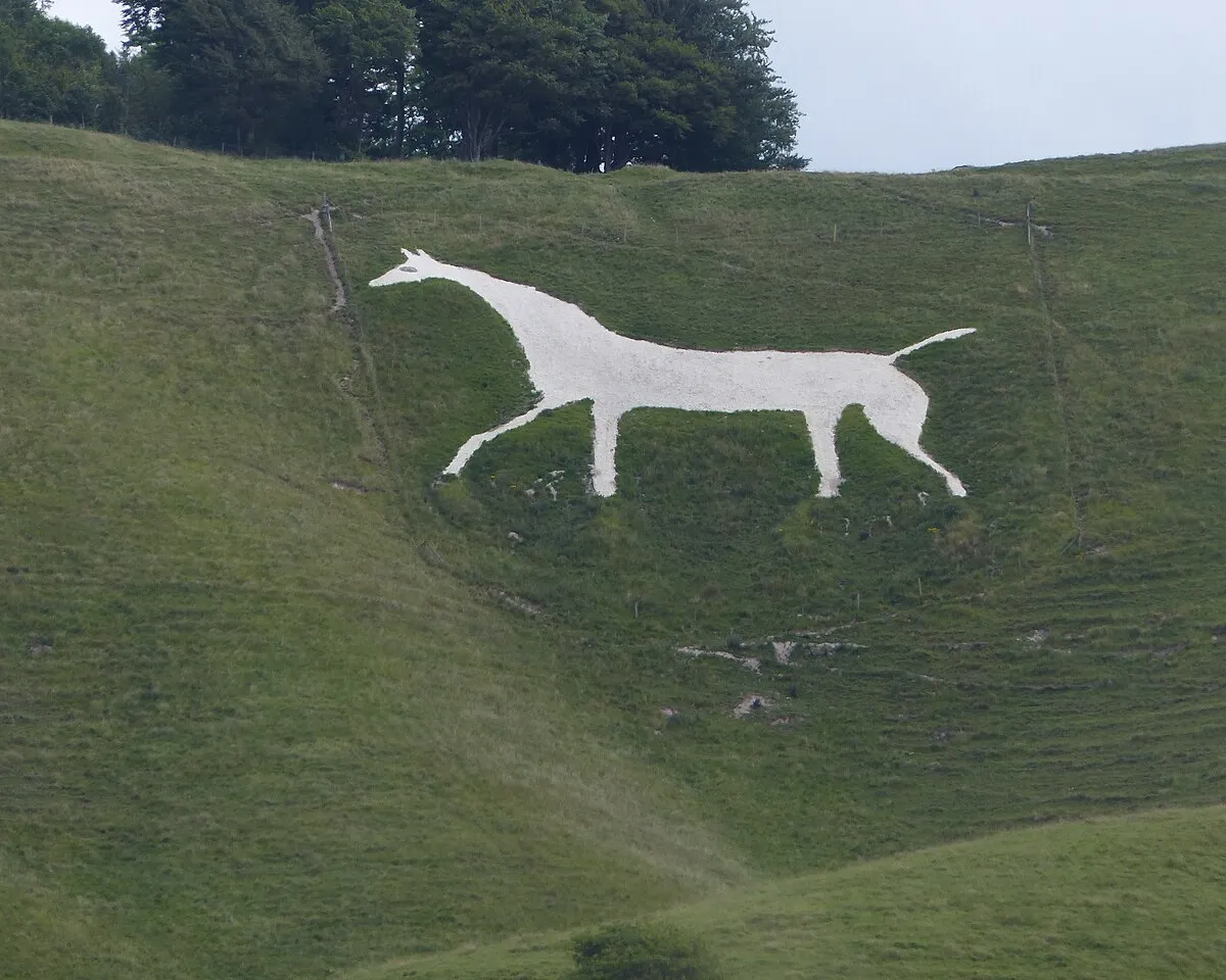 Scharrbild in Kreideuntergrund. The Cherhill White Horse, (Not Westbury White Horse. Richard Avery (talk) 15:51, 4 November 2015 (UTC)