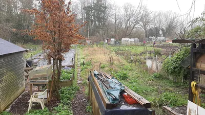 Allotments, Ryeworth, Cheltenham