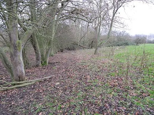 Top Lock Meadow