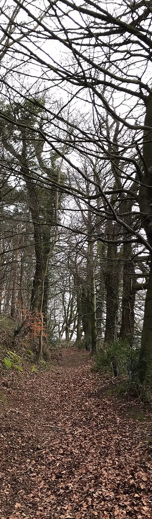 West Hill