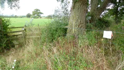 Barbed wire or broken stile?