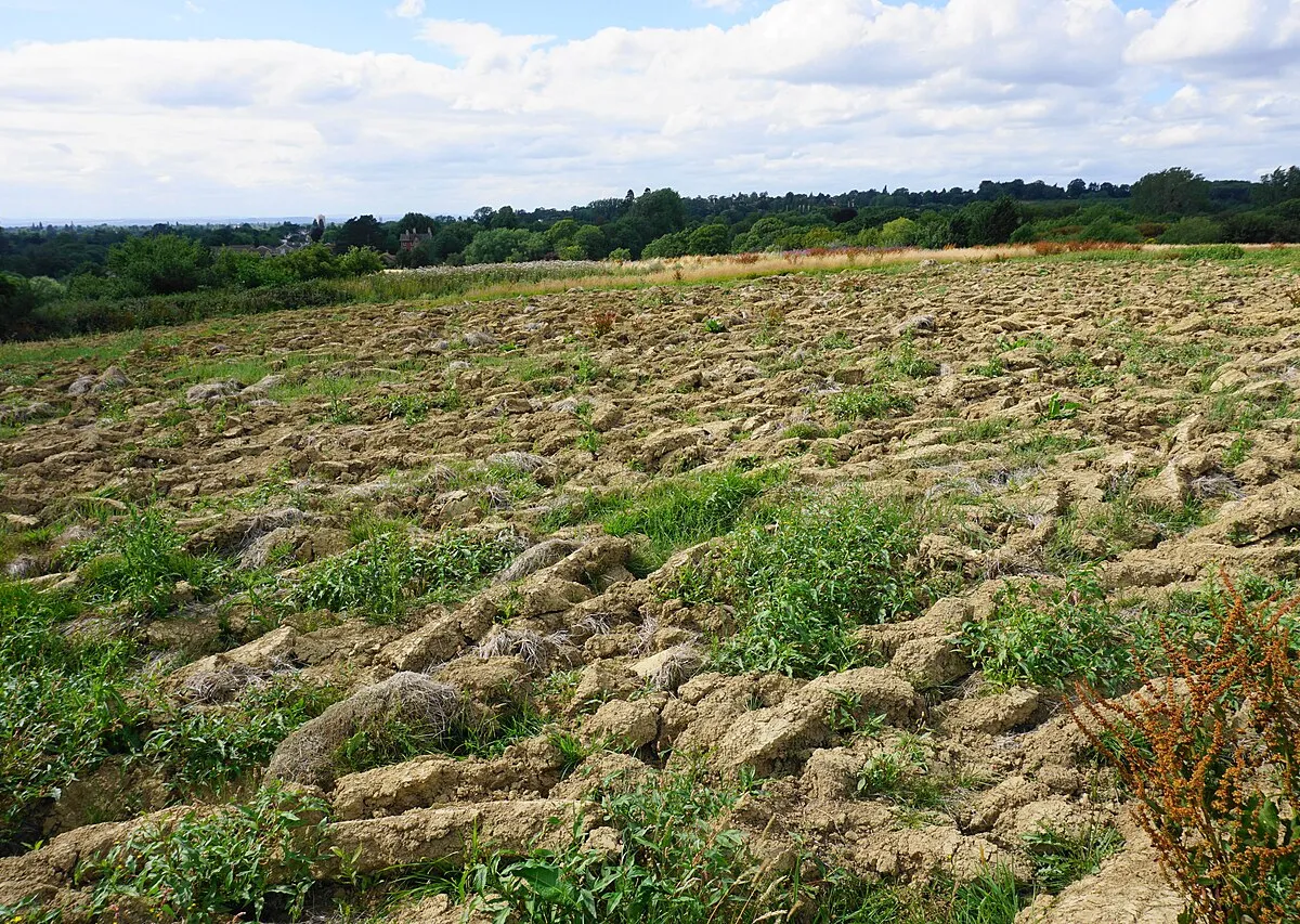 A turned over field near Charlton Kings