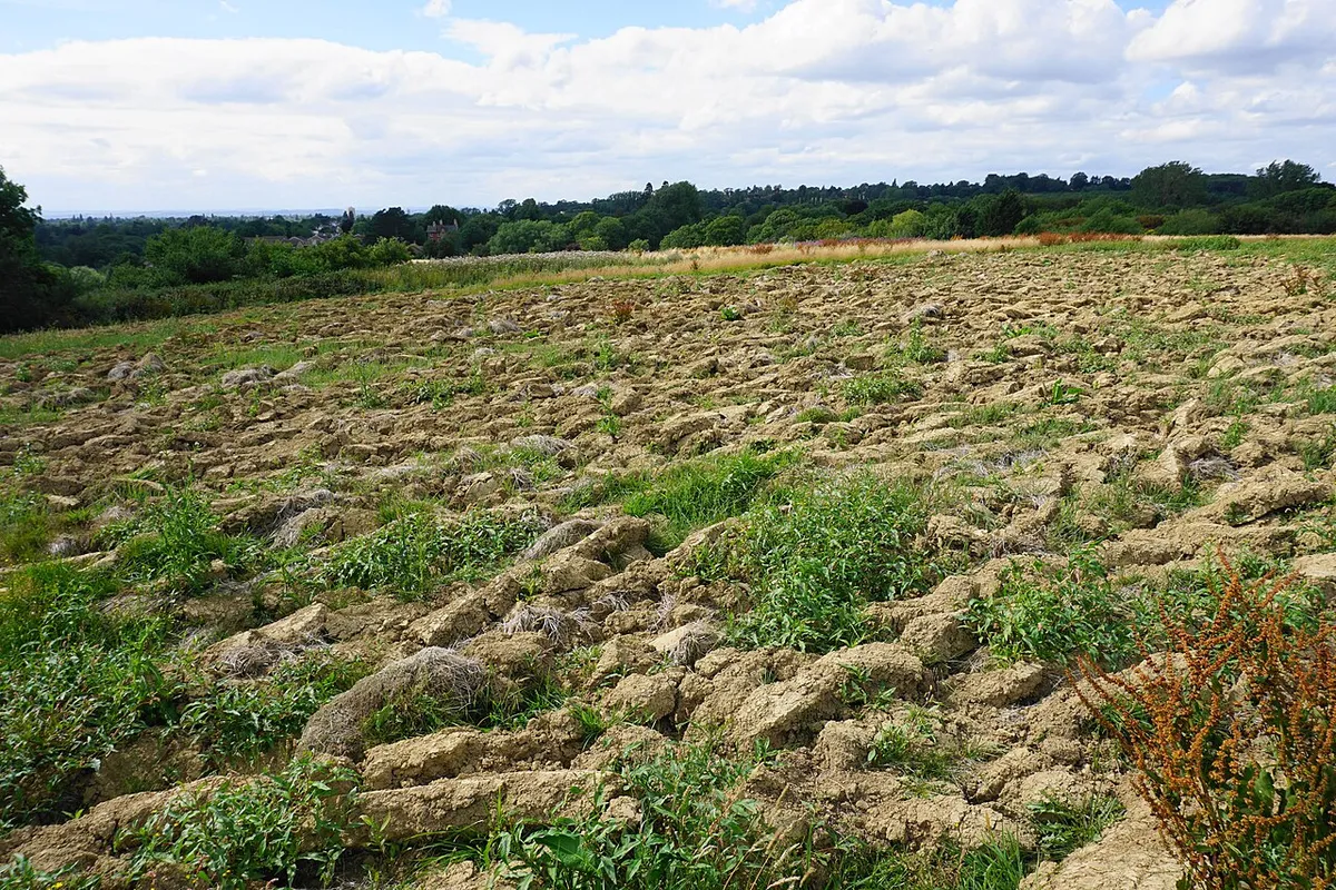 A turned over field near Charlton Kings