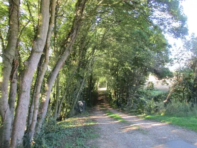 Access to Crossing Cottage