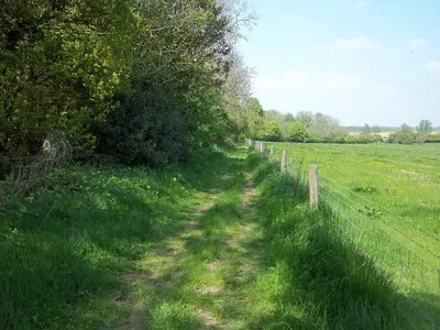 Alongside the copse