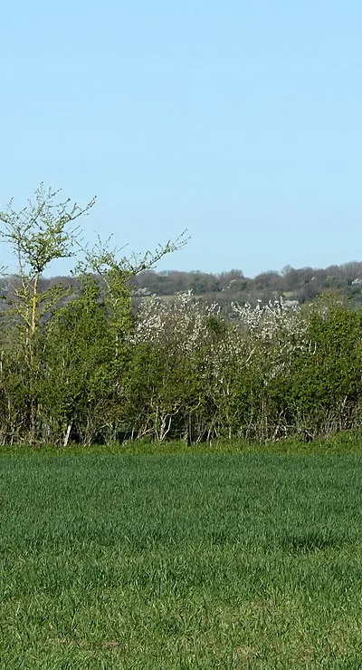 2011 : Field near Chestermans Farm