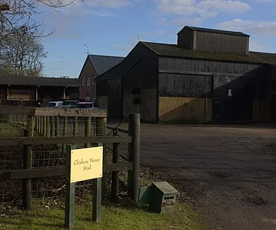 Chisbury Manor stud farm