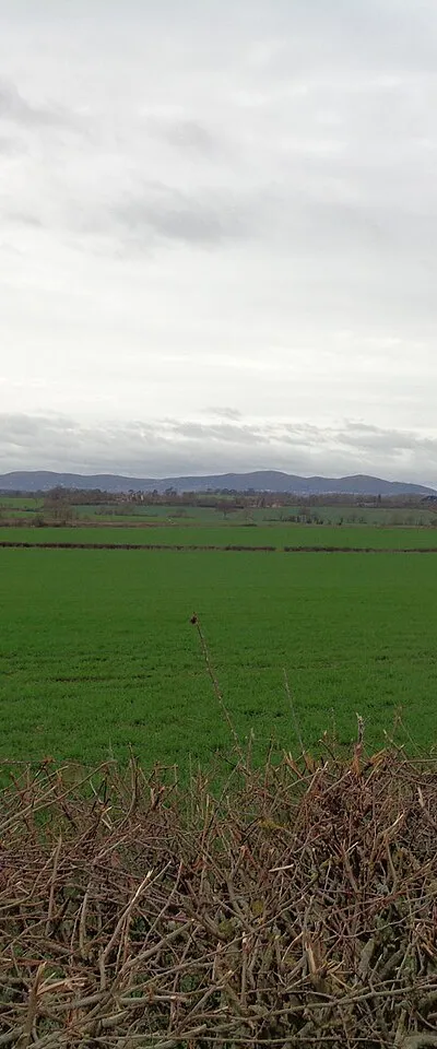 Across the fields to the Malverns from Wadborough
