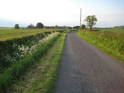 Country lane at Hill Croome