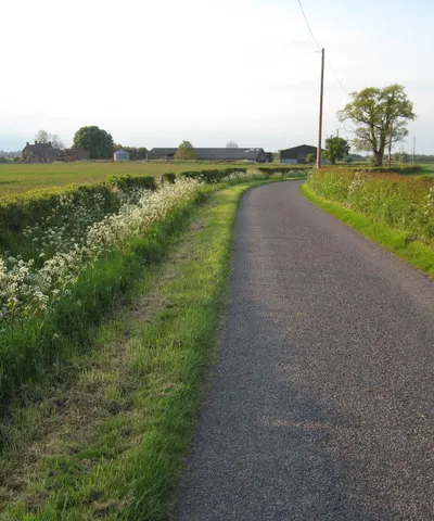 Country lane at Hill Croome