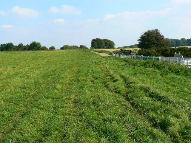 Bridleway, near Monkton Down The bridleway is unnamed and runs west-east connecting the Ridgeway and the White Horse Trail, ahead of the viewpoint.