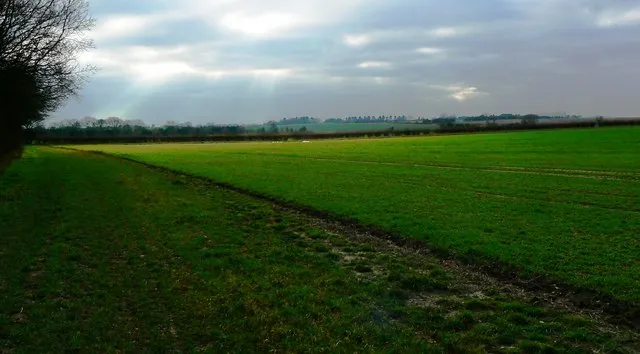 A ray of sunlight on Salthrop near Swindon The weather this day was quite mild, with little wind but mostly cloudy. This image shows a brief sunny interval.