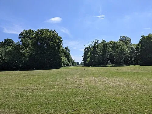 A lone cone in Cirencester Park