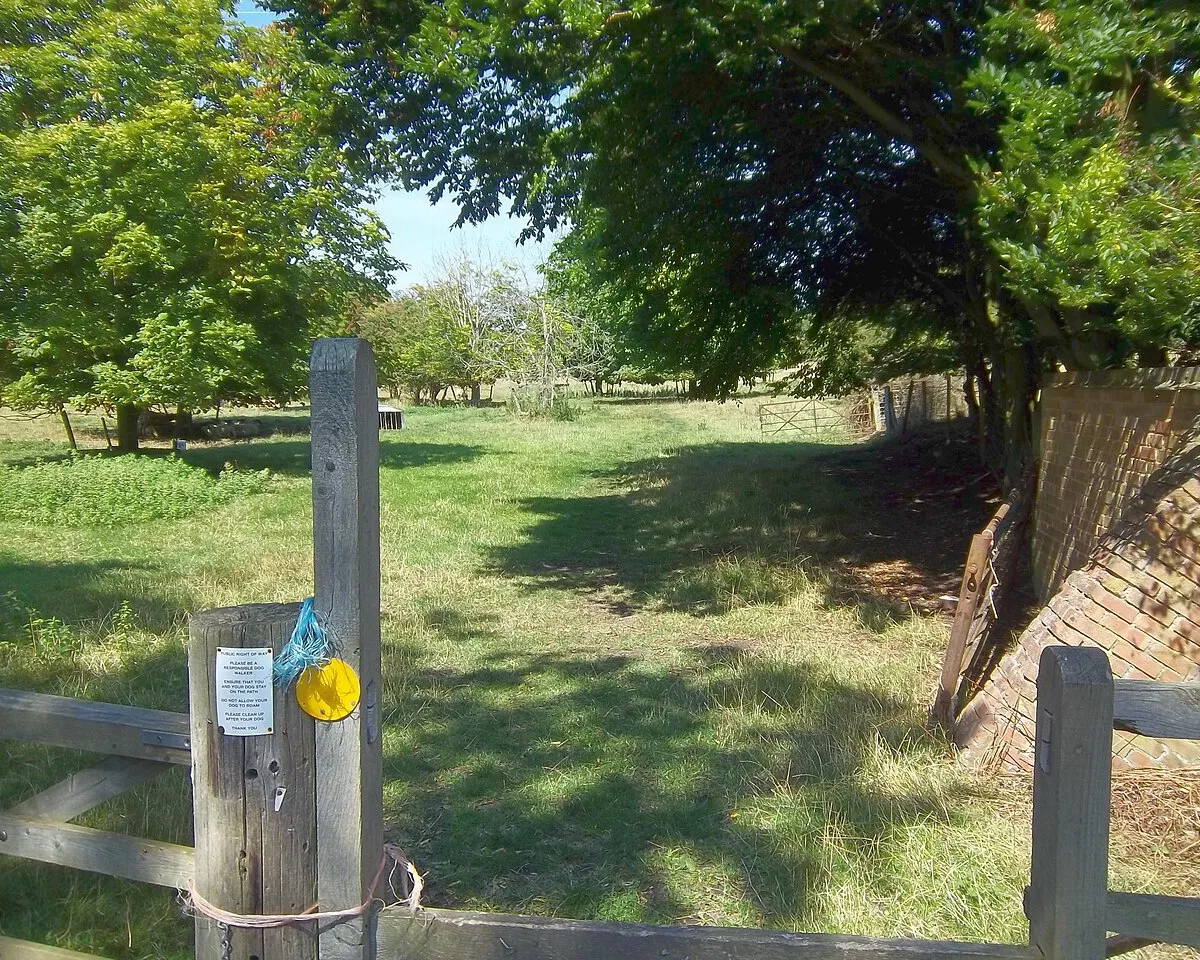 Across the field