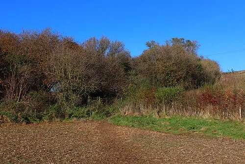 Field Footpath