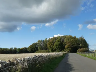 A triangle of woodland in the corner of a field