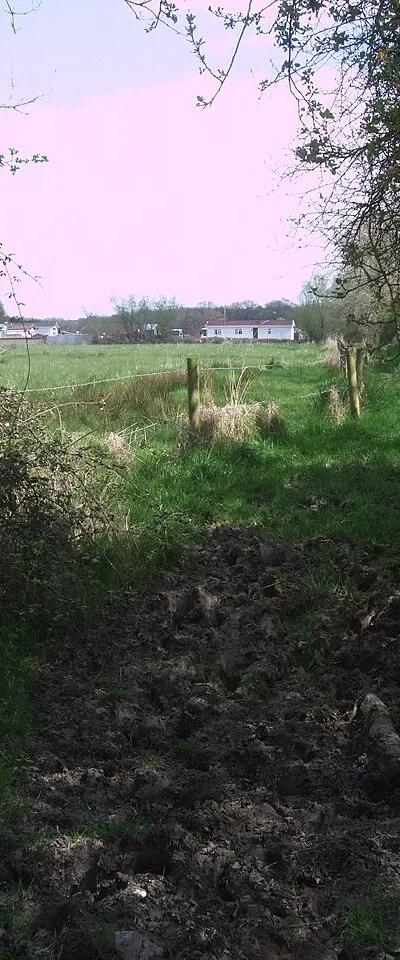 Bridleway, Webb's Wood, looking towards Four Oaks Park