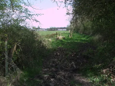 Bridleway, Webb's Wood, looking towards Four Oaks Park