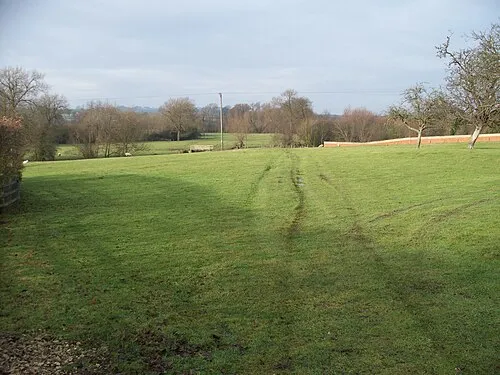 Across the meadow