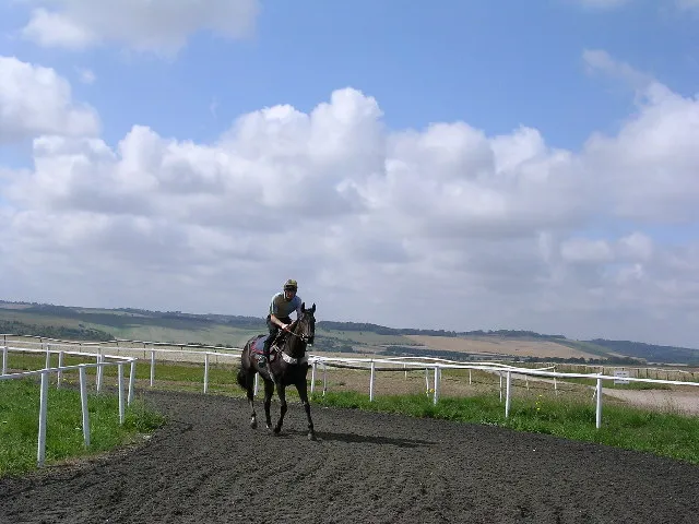 Gallops, Wellbottom Down.