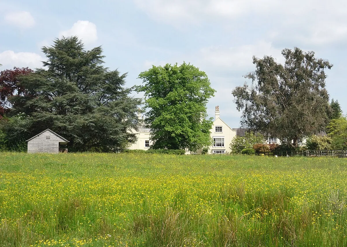 Buttercup Meadow at Newtown House