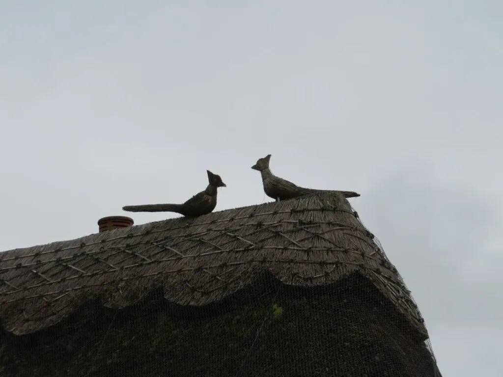 Brace of Pheasants