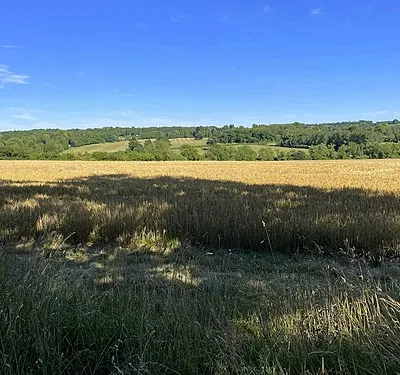 View over farmland to Sarsden