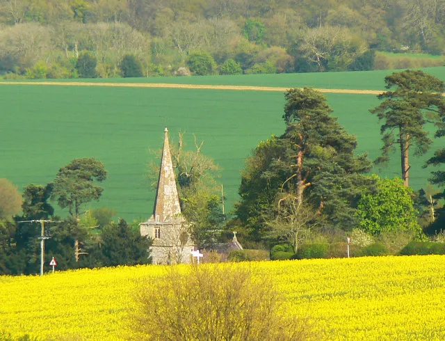 A view to Little Bedwyn church from near Chisbury The oilseed rape with its distinctive yellow flowers is in this square. The church, St Michael's, is not.