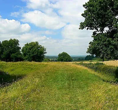 Ringsbury Camp, near Purton Ringsbury Camp is a multivallate Iron Age hill-fort. In this north-facing view we can see the eastern part of the embankment. More here in wiki Ringsbury_Camp I haven't been able to find any other images of Ringsbury Camp on the web.