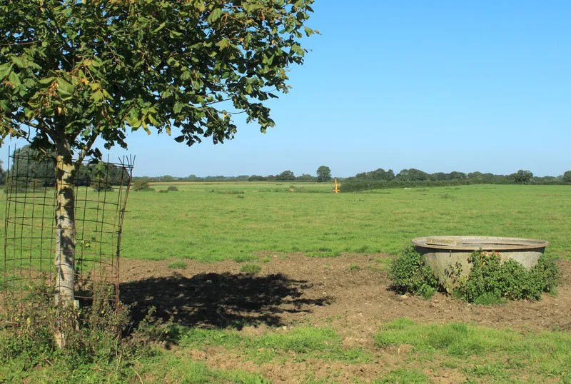 2012 : Ditch clearing east of Lower Seagry
