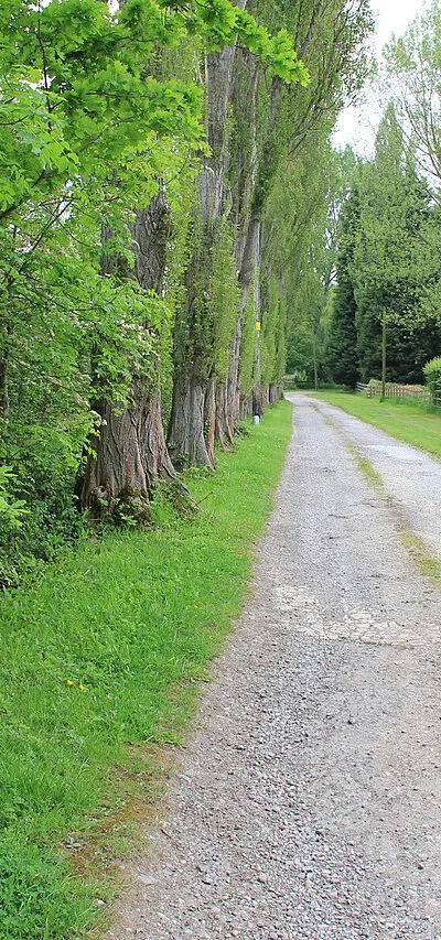 Access drive to Greenacre Farm