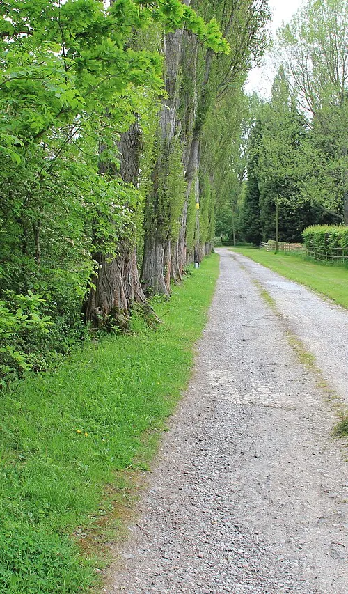 Harp Hill