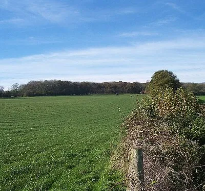 Arle Grove. Viewed from the east.