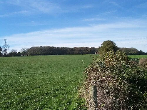 Arle Grove