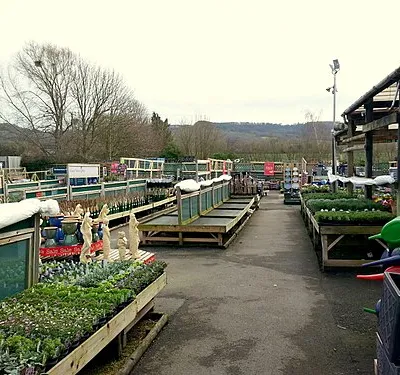 Plantarea at Wyevale Brockworth