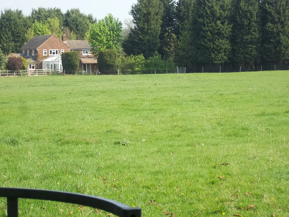 Across the field