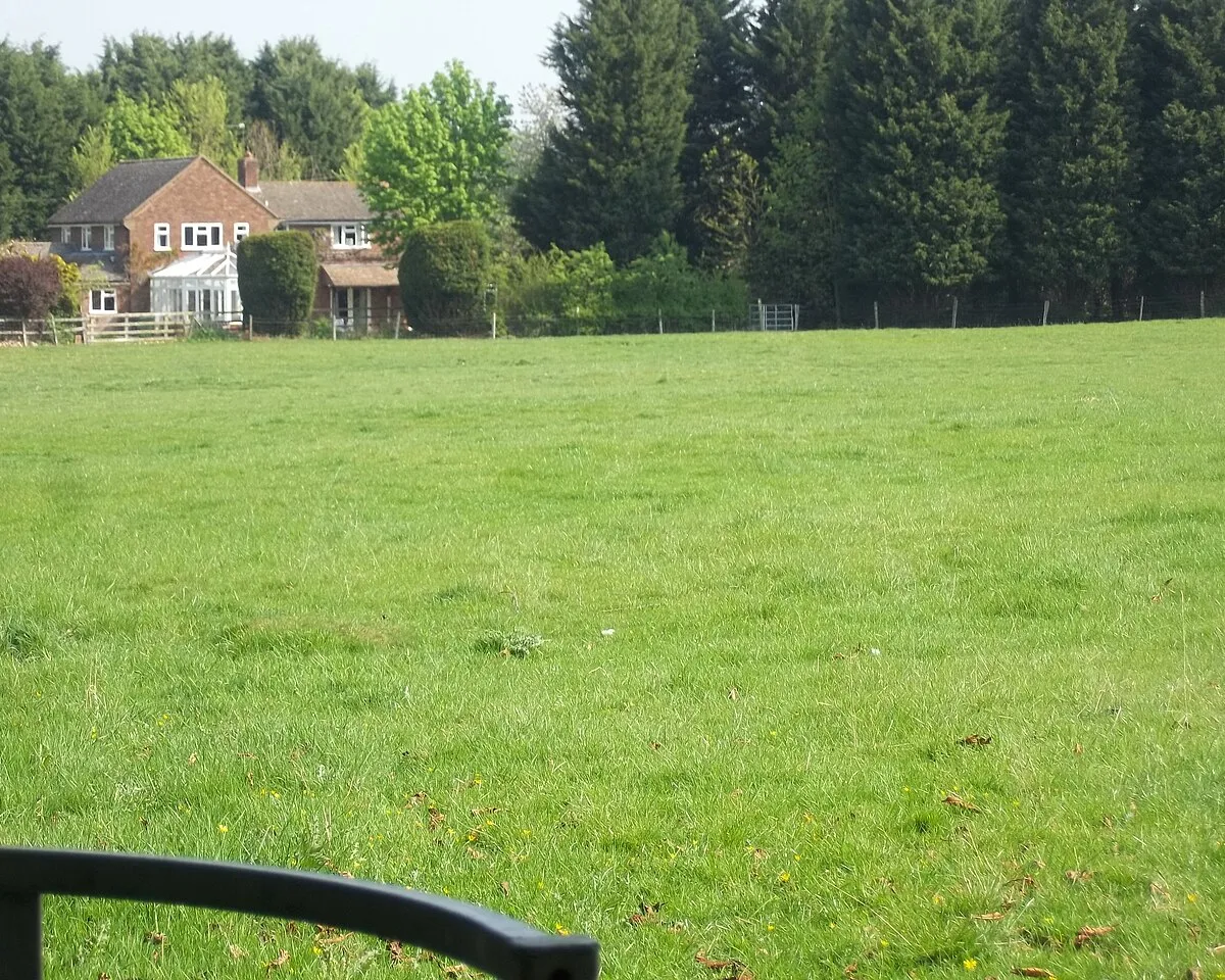 Across the field