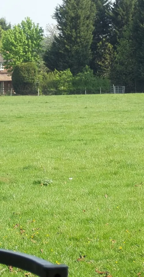 Little Honington