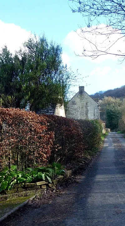 Cockshoot Road