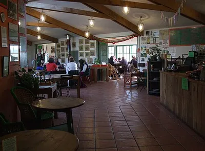 Cafe at the Organic Farm Shop, Abbey Home Farm, Burford Road, Cirencester