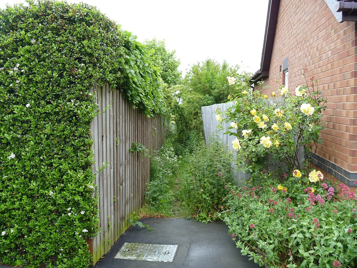 Between the houses