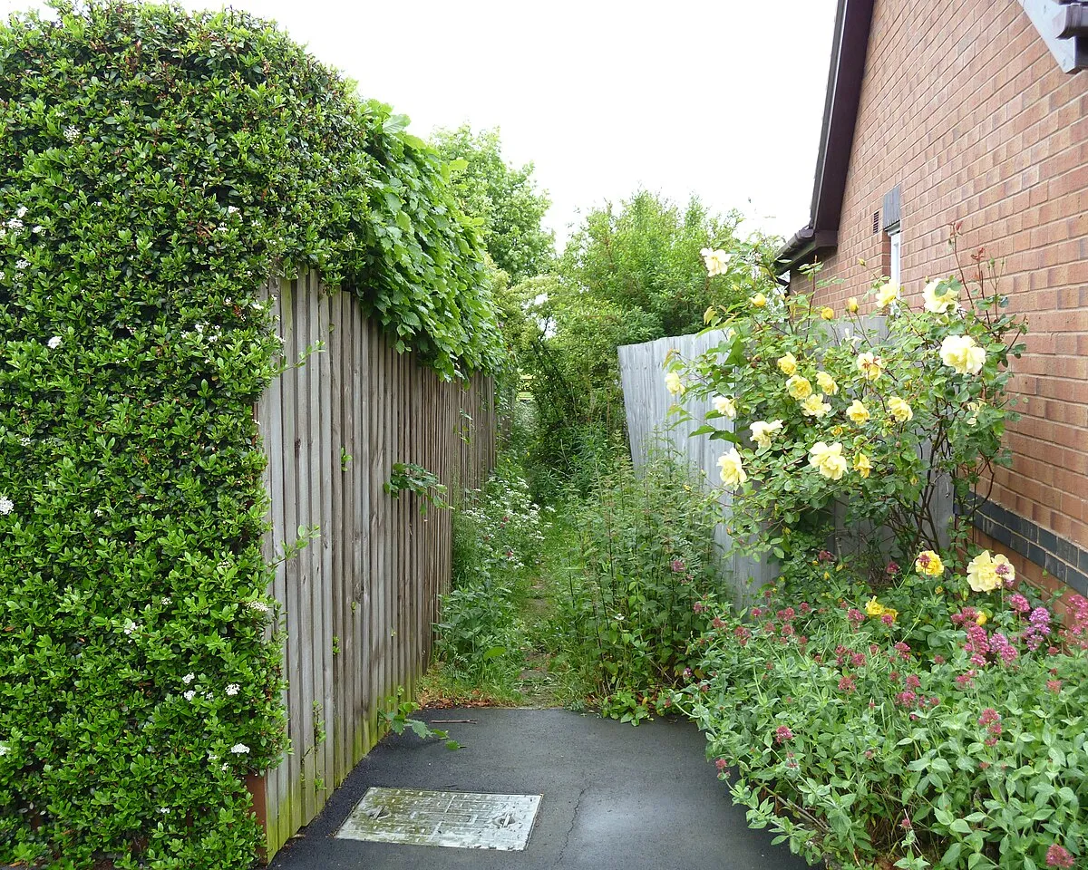 Between the houses