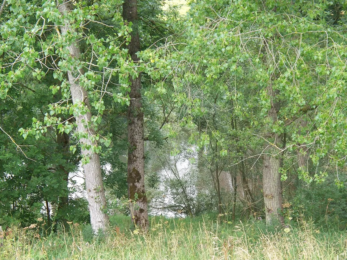 A glimpse of the lake