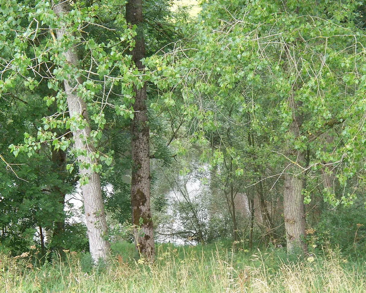 A glimpse of the lake