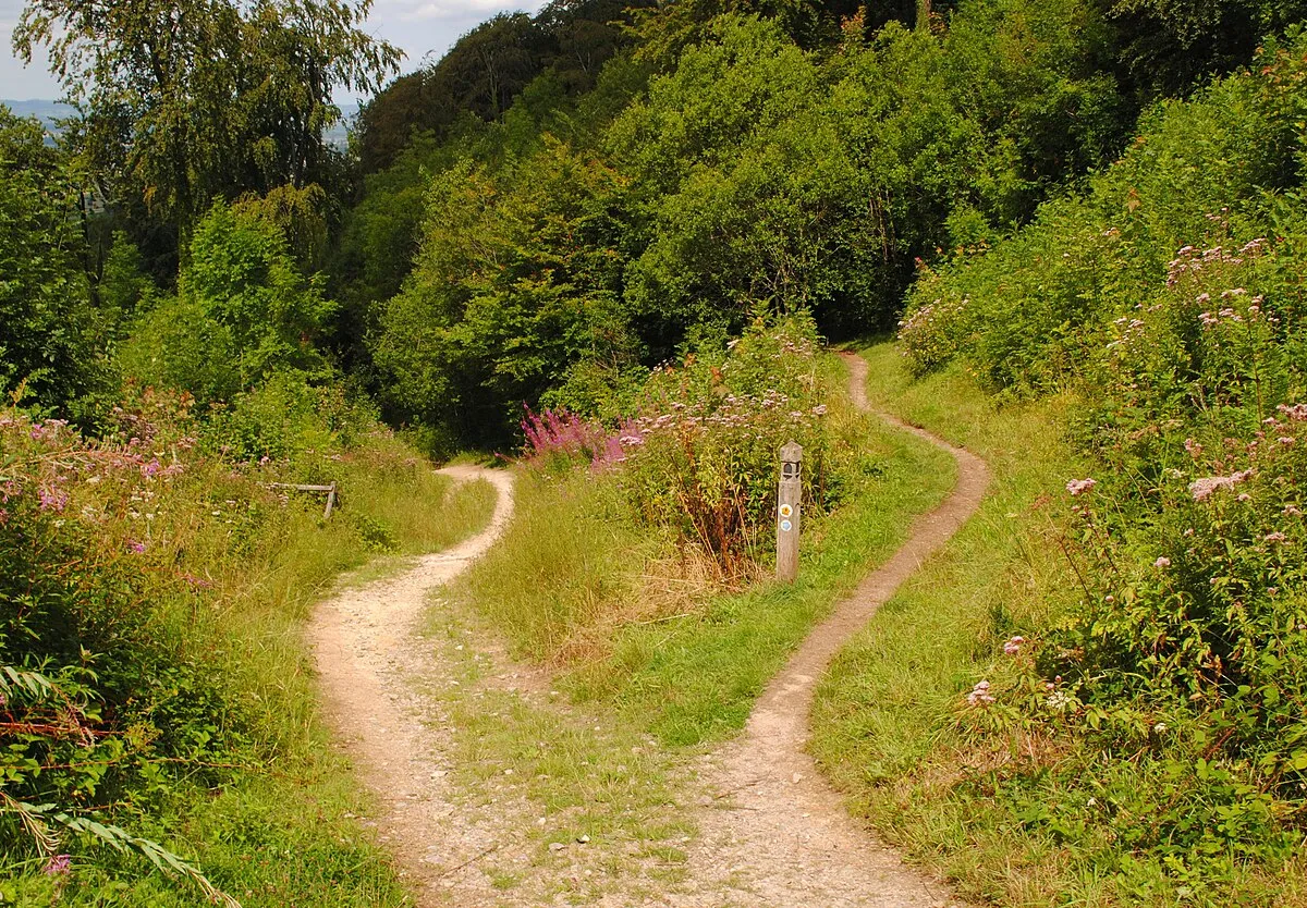 Cotswold Way, Uley Bury, Uley, Gloucestershire 2014