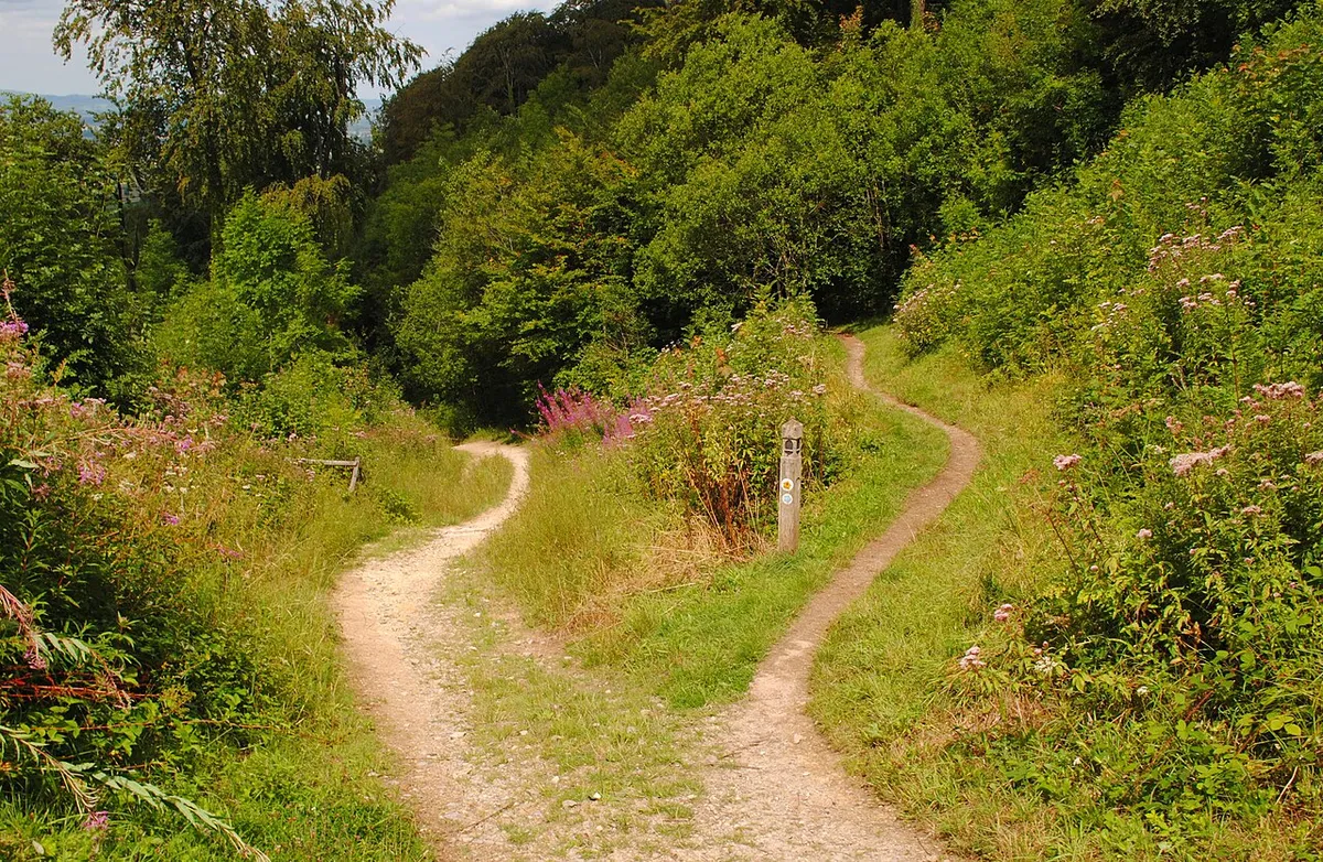 Cotswold Way, Uley Bury, Uley, Gloucestershire 2014