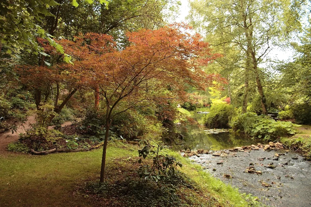 Abbey Gardens along Avon River in Malmesbury England